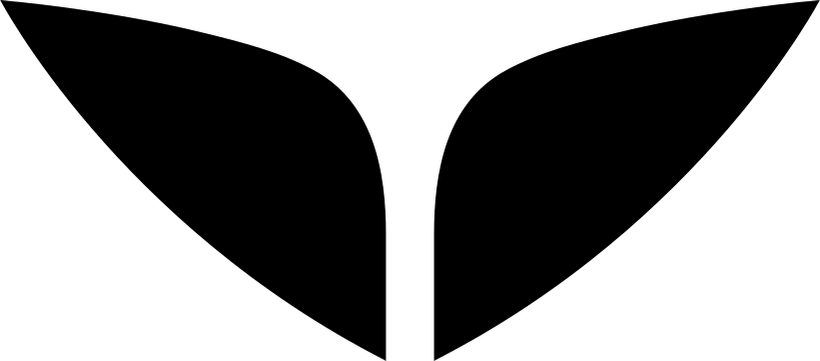 Mindvalley